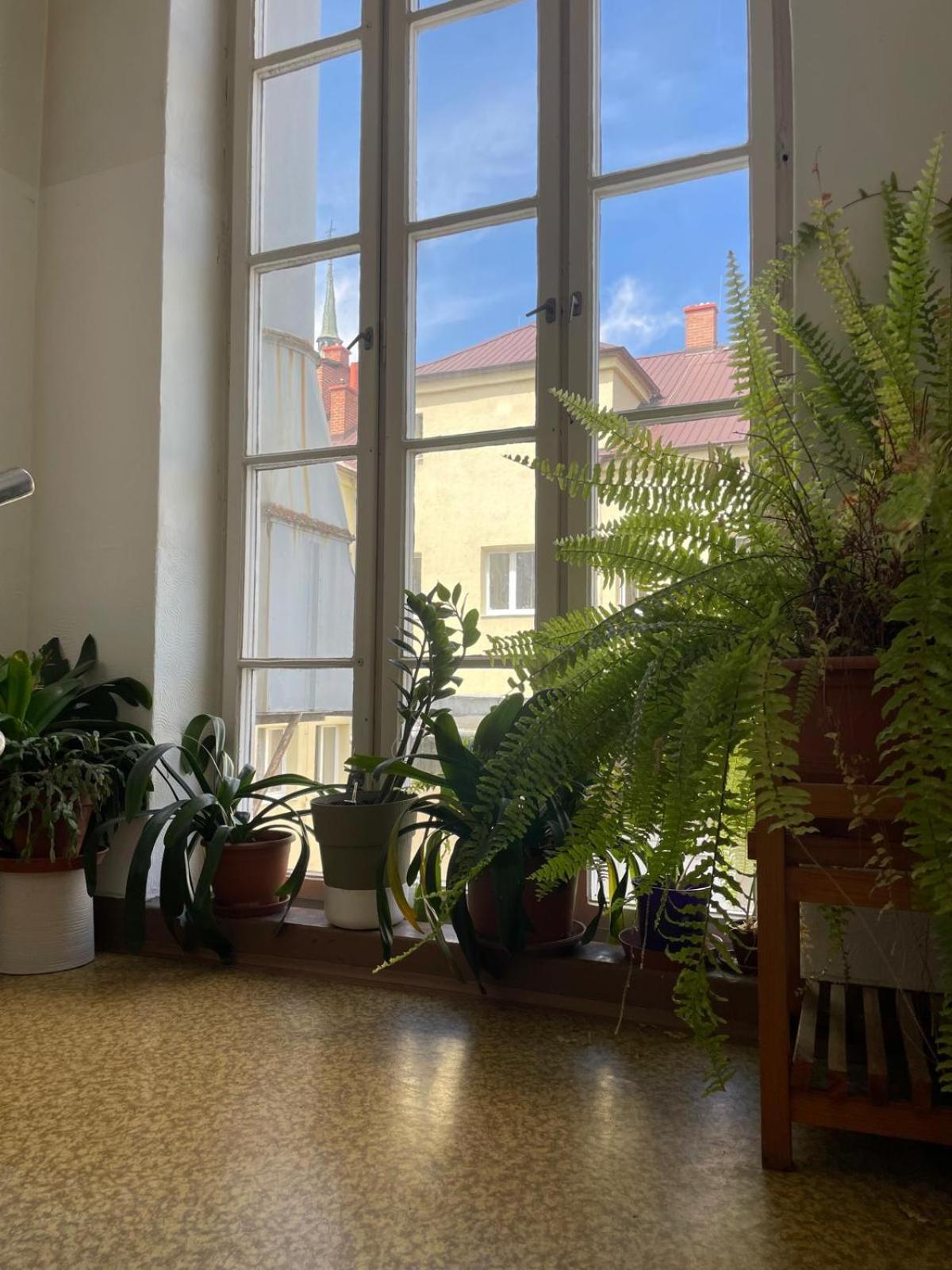 Hostel Moravia Ostrava Ngoại thất bức ảnh